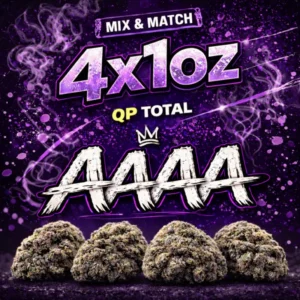 BUILD YOUR OWN AAAA QP
