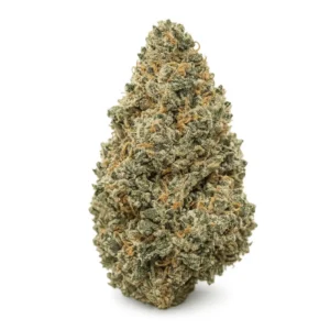 NUKEN