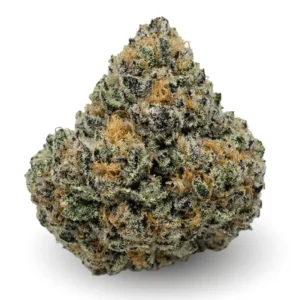 ATOMIC APPLE BY DYNASTY FARM ~ CRAFT