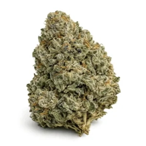 SHISKABERRY