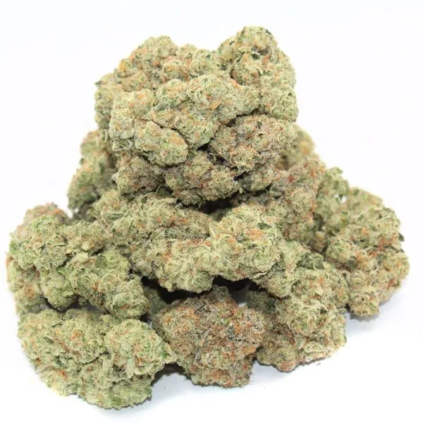 STARFIGHTER ~ AAAA - Image 2