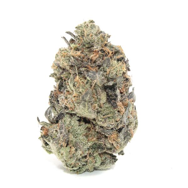 DANK SCHRADER ~ AAAA