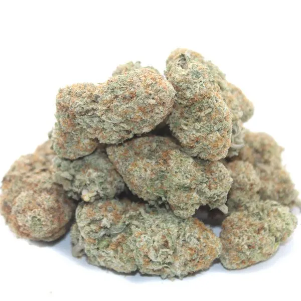 RAINBOW GUSHER ~ AAAA - Image 2