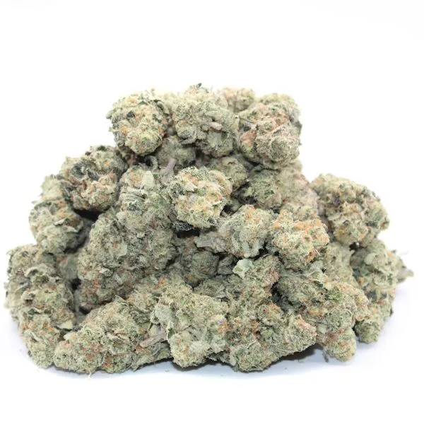 ROMULAN ~ CRAFT - Image 2