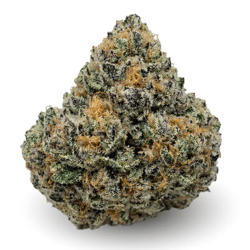 ATOMIC APPLE BY DYNASTY FARM ~ CRAFT