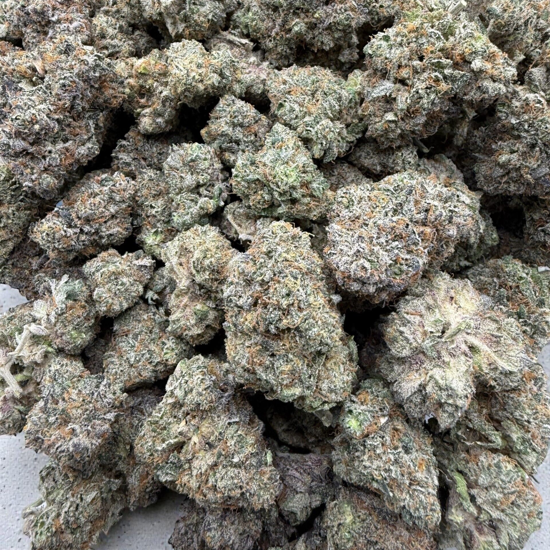 ATOMIC APPLE BY DYNASTY FARM ~ CRAFT - Image 2