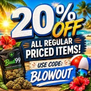 20% OFF!