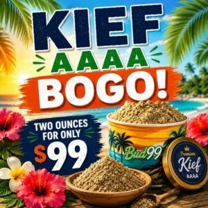 KIEF AAAA BOGO