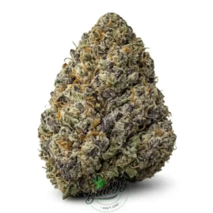 PURPLE SPACE COOKIES ~ AAAA