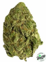 buy cheap weed online