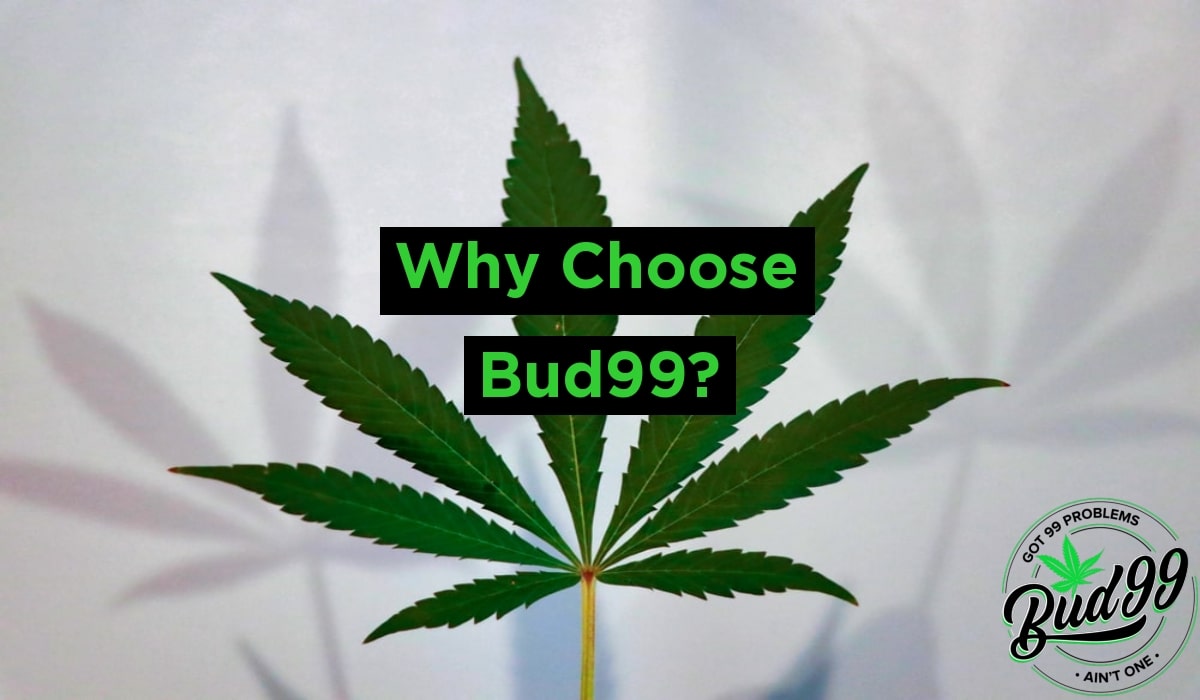 Buy Bud Online in Canada