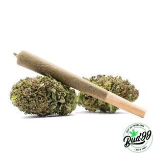 Buy Weed Shatter Online in Canada