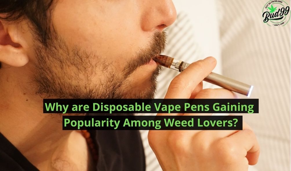 Why are Disposable Vape Pens Gaining Popularity Among Weed Lovers
