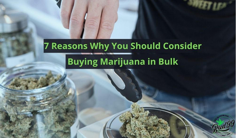 Buying Marijuana in Bulk