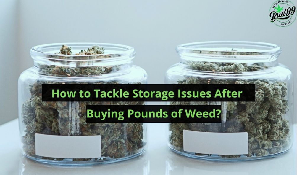 How to Tackle Storage Issues After Buying Pounds of Weed?