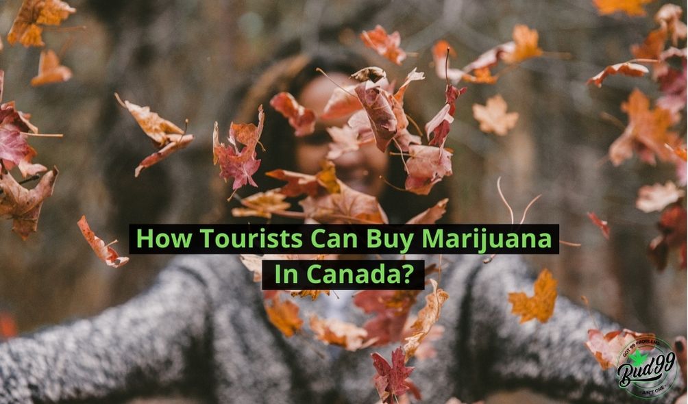 How Tourists Can Buy Marijuana in Canada