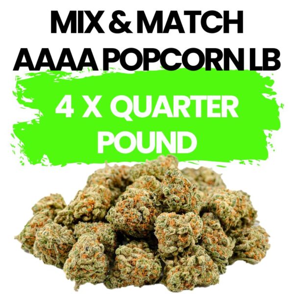 AAAA QP POPCORN MIX & MATCH