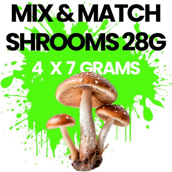 MUSHROOM OZ MIX AND MATCH