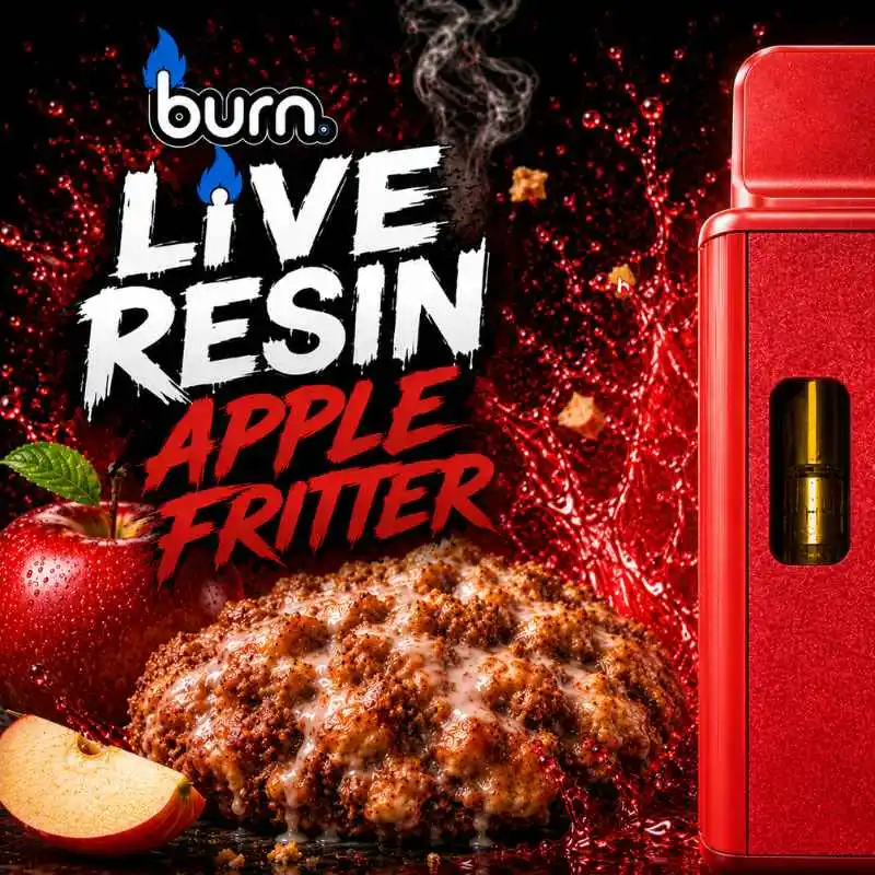 BURN LIFESTYLE CO - 2G LIVE RESIN DISPOSABLE VAPE (APPLE FRITTER)