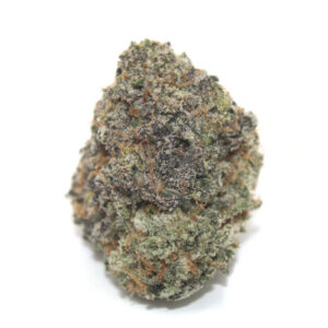 KIWI SKUNK ~ AAAA