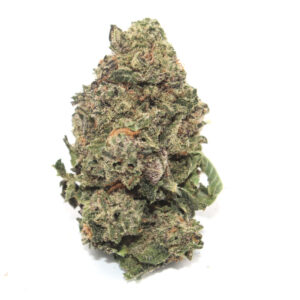 GELATO