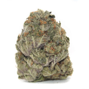 GRAND DADDY PURPLE ~ AAAA-