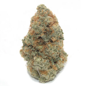 GIRL SCOUT COOKIES ~ AAA