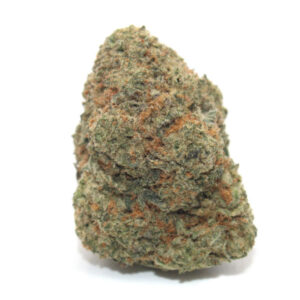 PAPAYA ~ AAA+