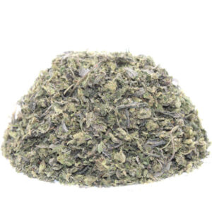 PREMIUM SHAKE - MIKE TYSON (AAAA)