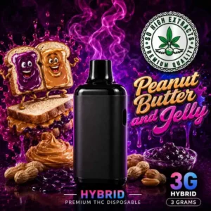 SO HIGH ~ DISPOSABLE ~ PEANUT BUTTER & JELLY ~ 3ML