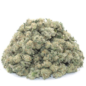 WHITE LAVENDER ~ POPCORN ~ AAAA