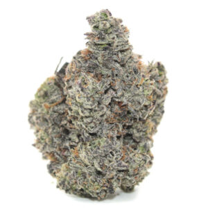 PERMANENT MARKER ~ CRAFT