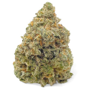 ORANGE CREAM ~ AAAA-