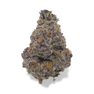 LONDON PURP BY HIDDEN PEAK HARVEST ~ CRAFT
