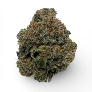 ATOMIC APPLE BY DYNASTY FARM ~ CRAFT