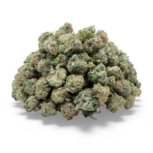 GG5 ~ POPCORN ~ AAAA