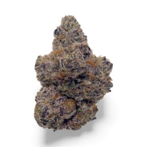 GLOC #6 BY DYNASTY FARM ~ CRAFT