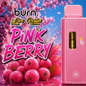 BURN ~ DISPOSABLE ~ PINK BERRY ~ 2G