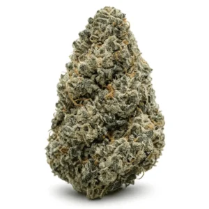 GHOST TRAIN HAZE - AAA+