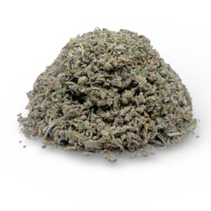 PREMIUM SHAKE - GRAND DADDY PURPLE  (AAAA)