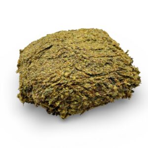 PREMIUM SHAKE - SILVER HAZE (AAAA)