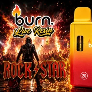 BURN ~ DISPOSABLE ~ ROCKSTAR ~ 2G RESIN