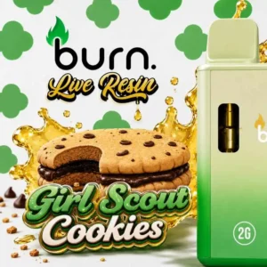 BURN ~ DISPOSABLE ~ GIRL SCOUT COOKIES ~ 2G RESIN