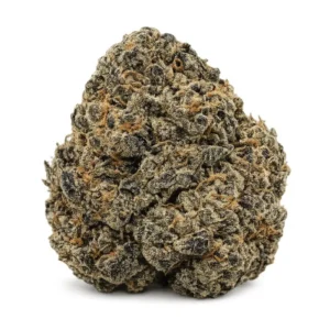 TROPICAL COOKIES ~ AAA