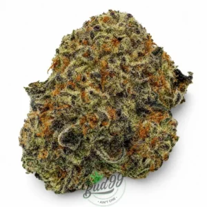 GORILLA GLUE #5 BY VVS FARM ~ CRAFT