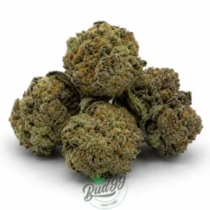 BLACKBERRY PLATINUM ~ POPCORN ~ AAAA