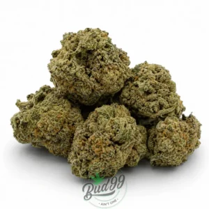 ICE CREAM CAKE ~ SMALLS/MED ~ AAAA