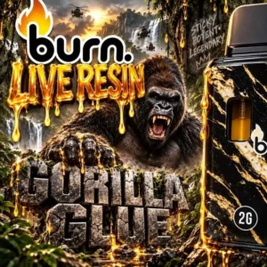 BURN ~ DISPOSABLE ~ GORILLA GLUE ~ 2G RESIN