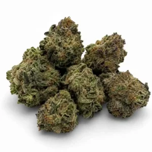 DOG WALKER OG ~ POPCORN ~ AAAA